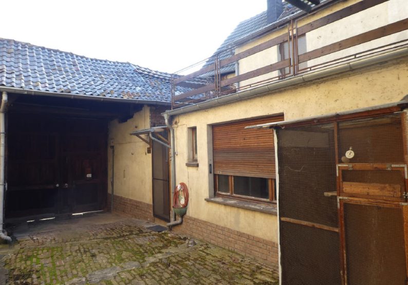 Bild6