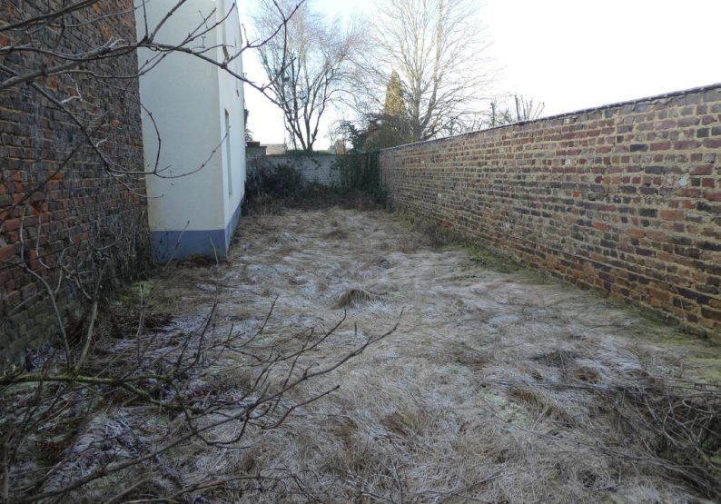 kleiner Garten