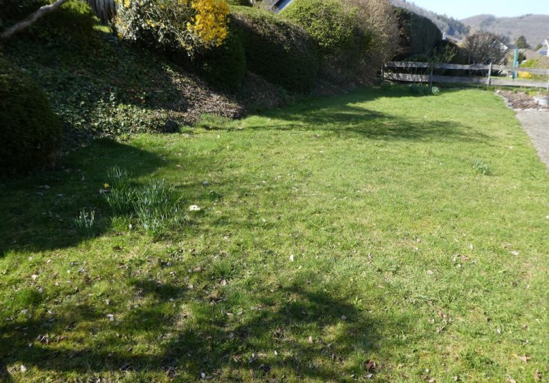 Bild6